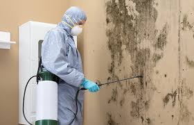 Mold Removal for HVAC Installations in Lake Don Pedro, CA